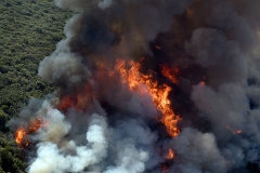 California Wildfires