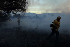 CALIFORNIA-FIRE/ANAHEIM