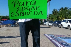 Periodistas de Guerrero muestran su apoyo (3)