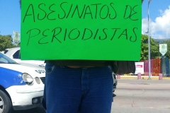Periodistas de Guerrero muestran su apoyo (4)