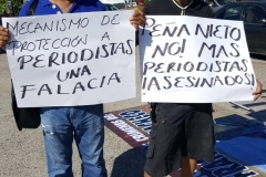 Periodistas de Guerrero muestran su apoyo (6)