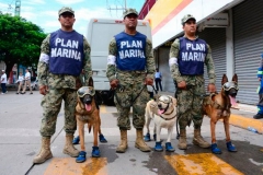 semar-sismo-perros-oaxaca-rescate-5