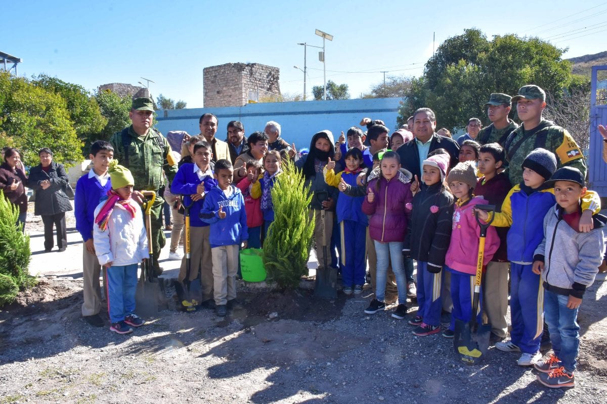 campaña de reforestación