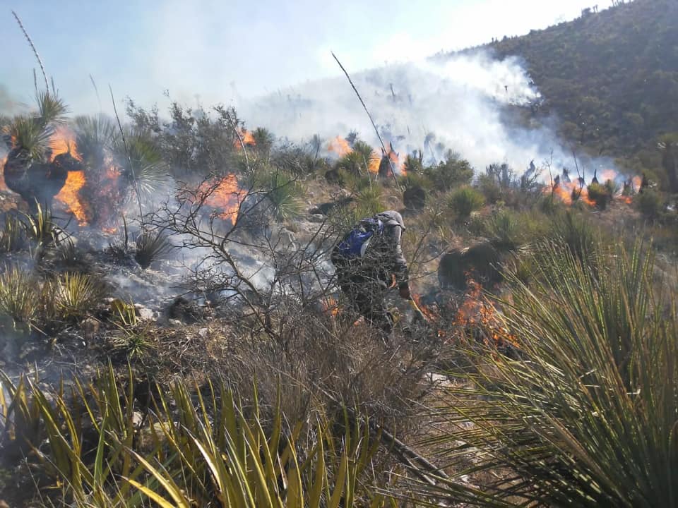 incendios