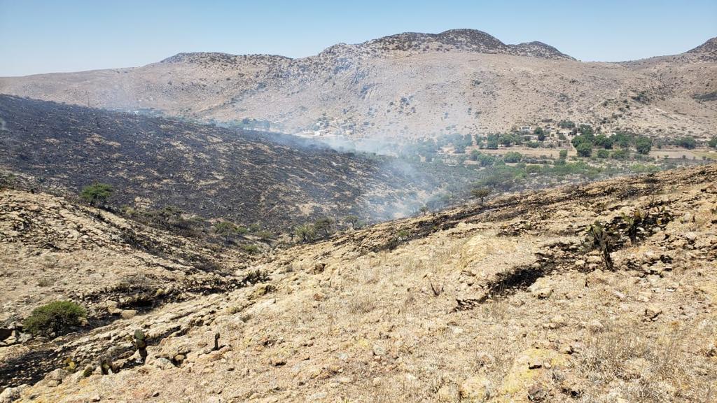 Incendio en Rioverde