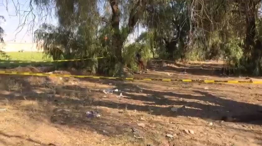 cuerpo suspendido en un árbol