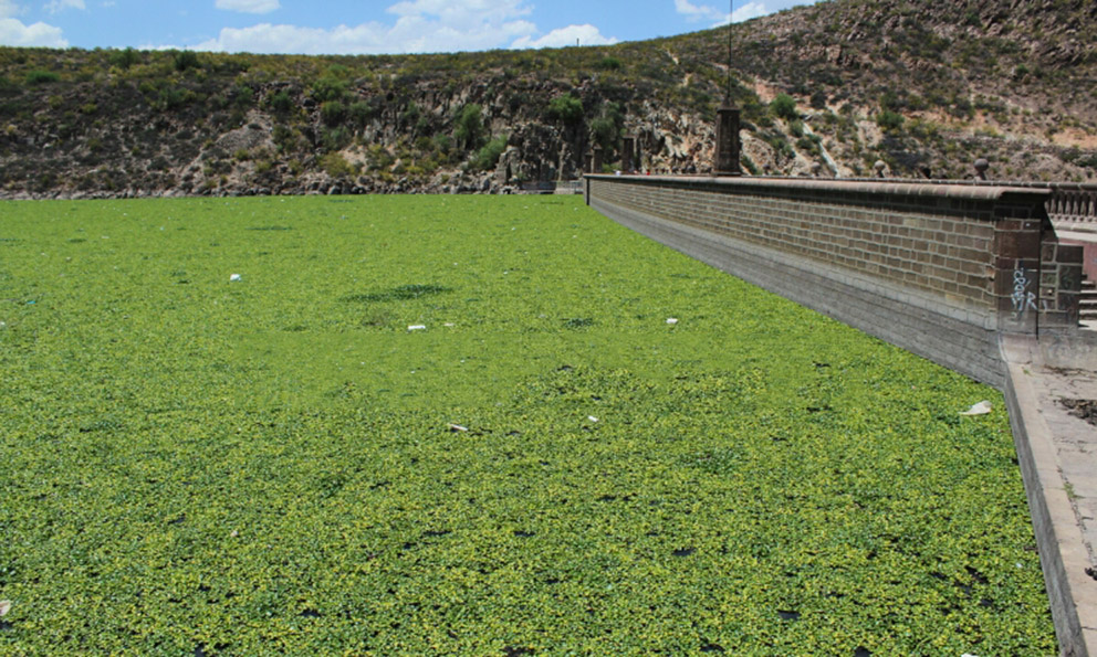 presa San José