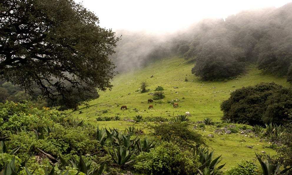 Sierra de Álvarez