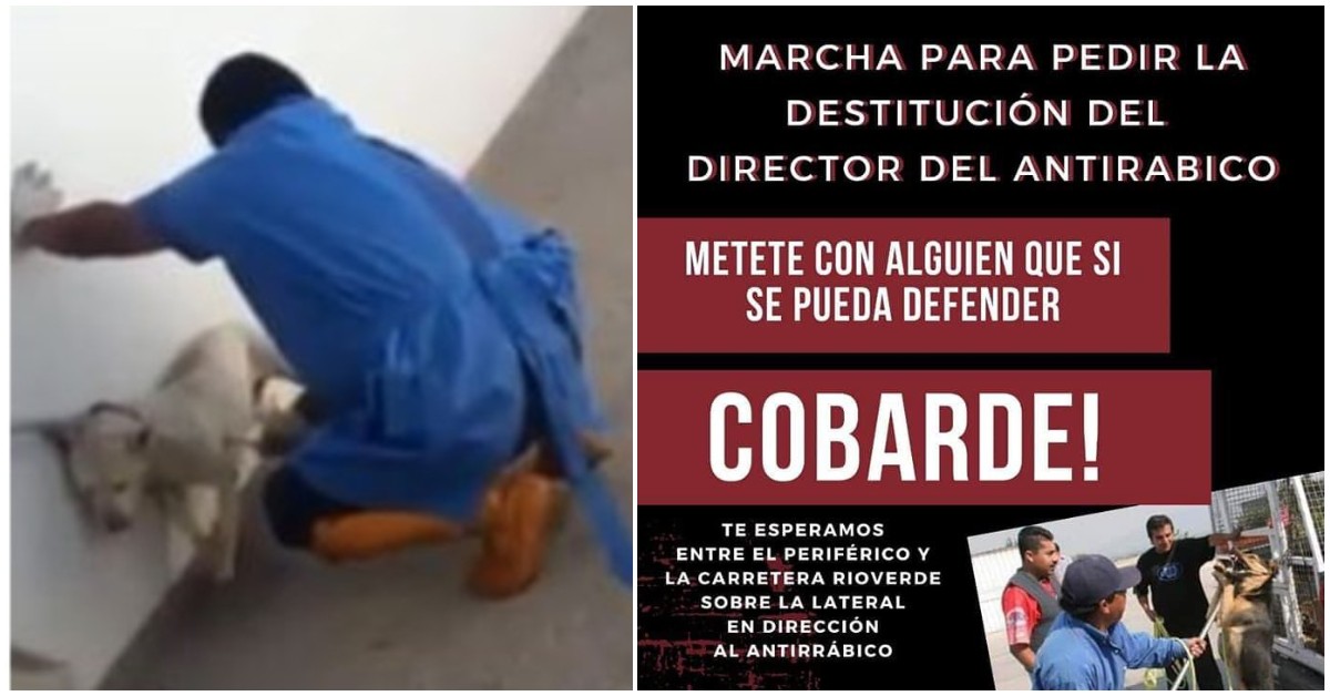 antirrábico