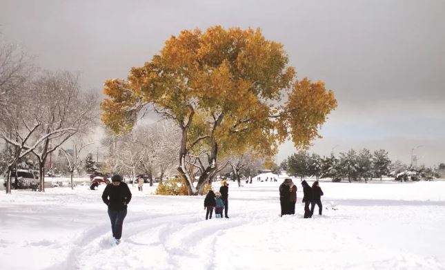 tormenta invernal