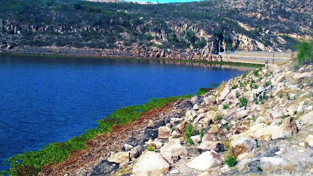 presa San José